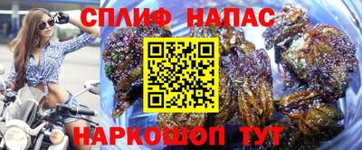 сатива Пугачёв