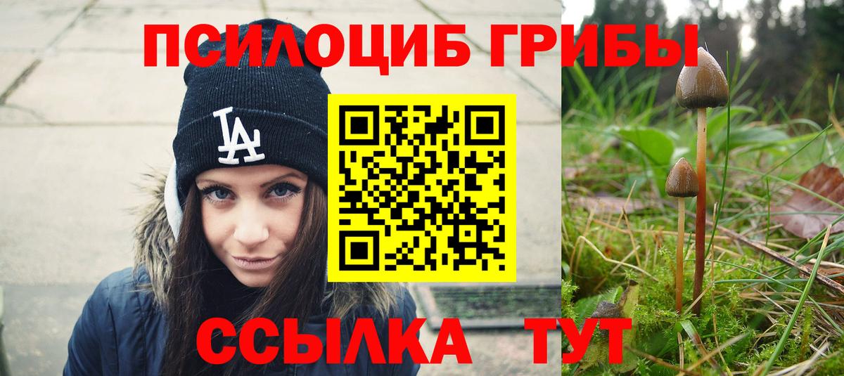 Галлюциногенные грибы Psilocybe  Вход с VPN  Шали 
